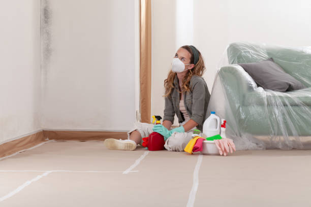Reliable Mold Remediation contractor in Muldraugh, KY by WQB Mold Removal